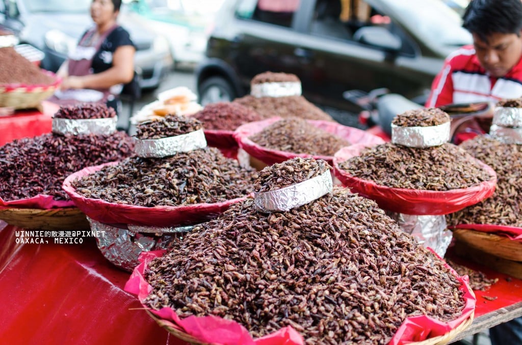 Fried Grasshoppers of all Shapes and Sizes