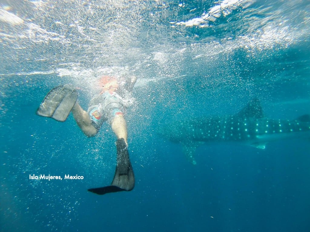 Yours Truly Swimming with Whale Sharks!